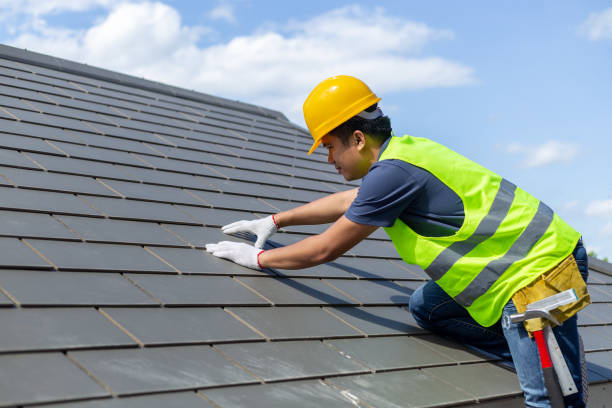 Quick and Trustworthy Emergency Roof Repair Services in Harlem Heights, FL
