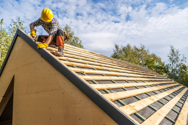 Best New Roof Installation  in Harlem Heights, FL