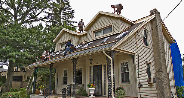Best Affordable Roof Replacement  in Harlem Heights, FL