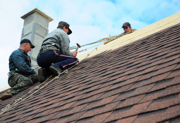 Best Commercial Roofing Services  in Harlem Heights, FL