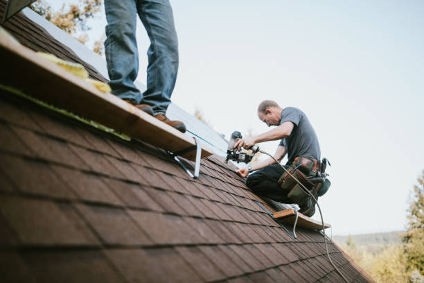 Best Roof Gutter Cleaning  in Harlem Heights, FL