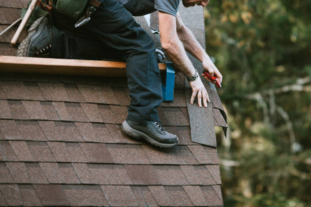 Best Residential Roof Replacement  in Harlem Heights, FL